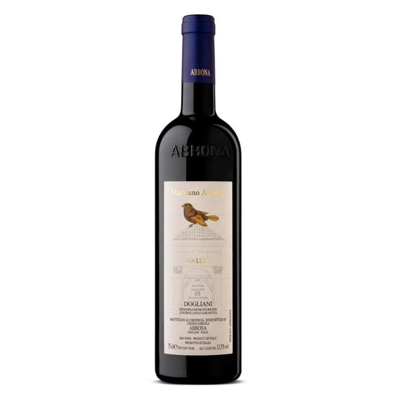 San Luigi Dogliani DOCG 2020 - Marziano Abbona - Dolcetto