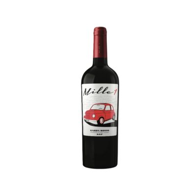 Mille 1 Magnum Single Garda Rosso 2020 DOC - Pratello - Rebo - Barbera - Rouge - Biologique Biodynamie - Accords Mets Vins :Viandes rouges / Grillades/